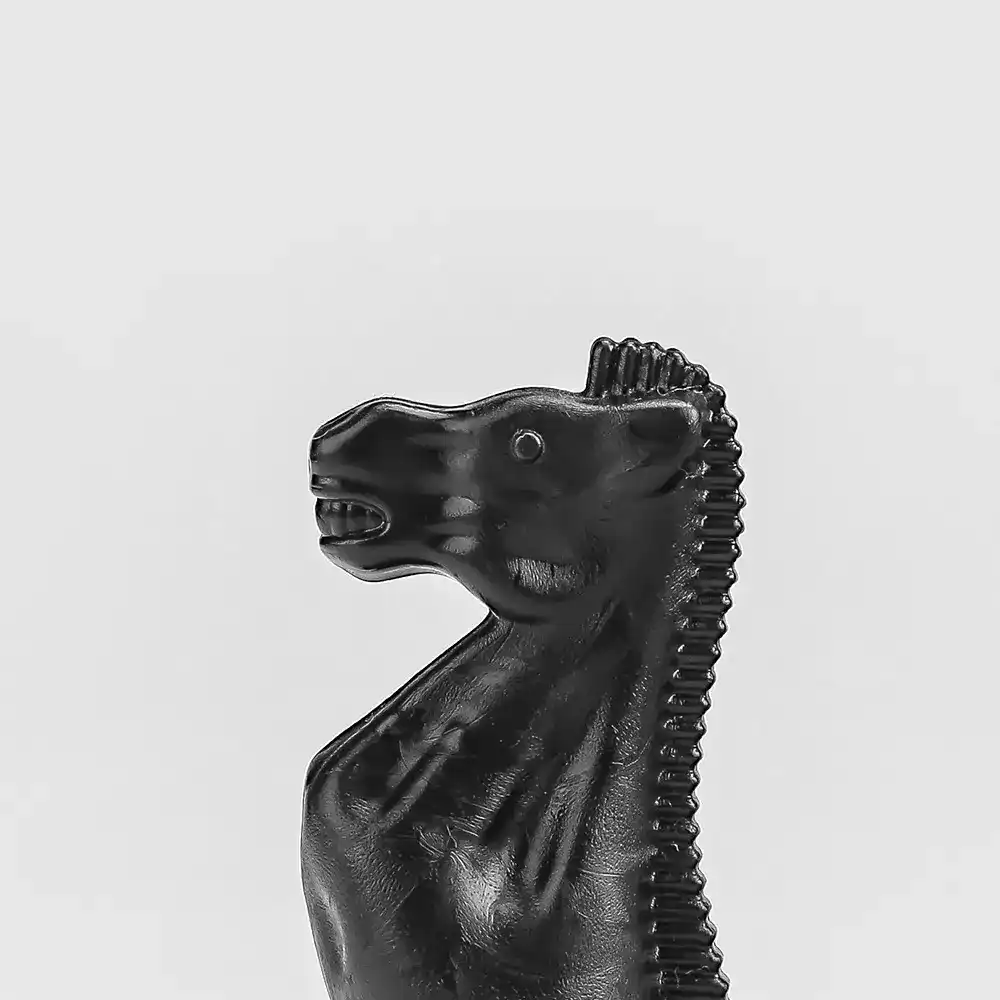 شطرنج فدراسیون بزرگ